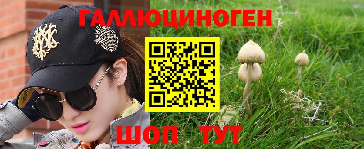 Псилоцибиновые грибы мухоморы  Вход с VPN  Каменск-Шахтинский  цены   Псилоцибиновые грибы Cubensis 