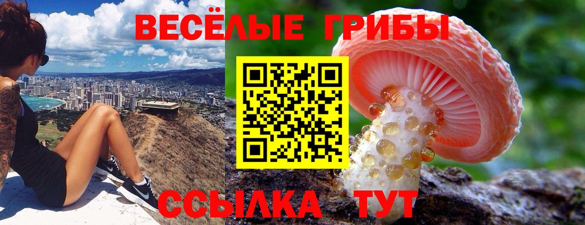 Галлюциногенные грибы мицелий Каменск-Шахтинский